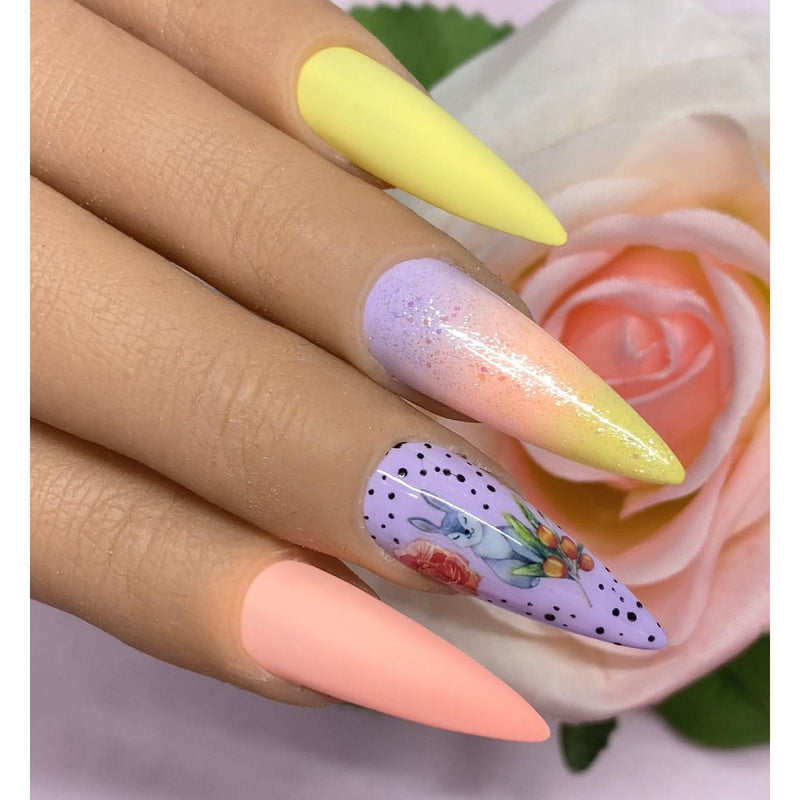 Red Iguana LLC 2-in-1 Stamping + Paint Gel Stamping