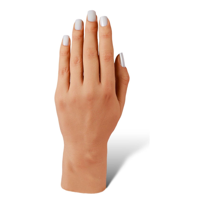 Red Iguana LLC Refurbished 3.0 Full Silicone Practice Hand Refurbished