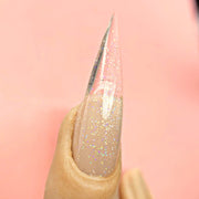 Red Iguana LLC Clear Holo Glitter Nail Art