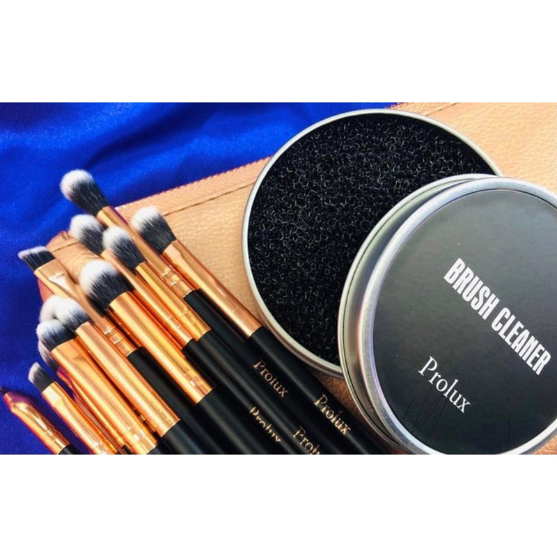 Prolux Cosmetics Deluxe 12 Piece Eye Makeup Brush Set BRUSH SET Black