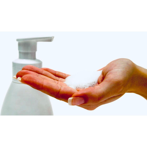 the berry good elixir company - Foaming Hand Wash with Colloidal Silver 10oz. 