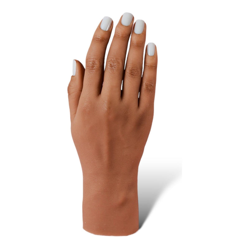 Red Iguana LLC Refurbished 3.0 Full Silicone Practice Hand Refurbished