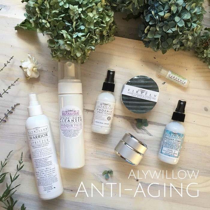 Alywillow Level 2 - Nighttime Intensive Treatment