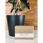 handmade. la conner Bar Soap - Woodsy Gentlemen