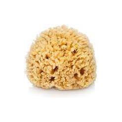 The Sponge Company The Sponge Company Sea Silk Bathing Sponge #1 BABY Bathing Sponge