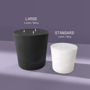 Element Brooklyn In Full Bloom Candle Refill Candle Refills