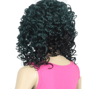 VIP Extensions It's a Wig! Lace Emerson Synthetic Front Lace Wig