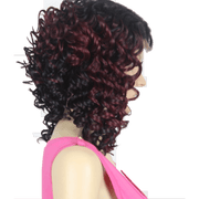 VIP Extensions It's a Wig! Lace Emerson Synthetic Front Lace Wig