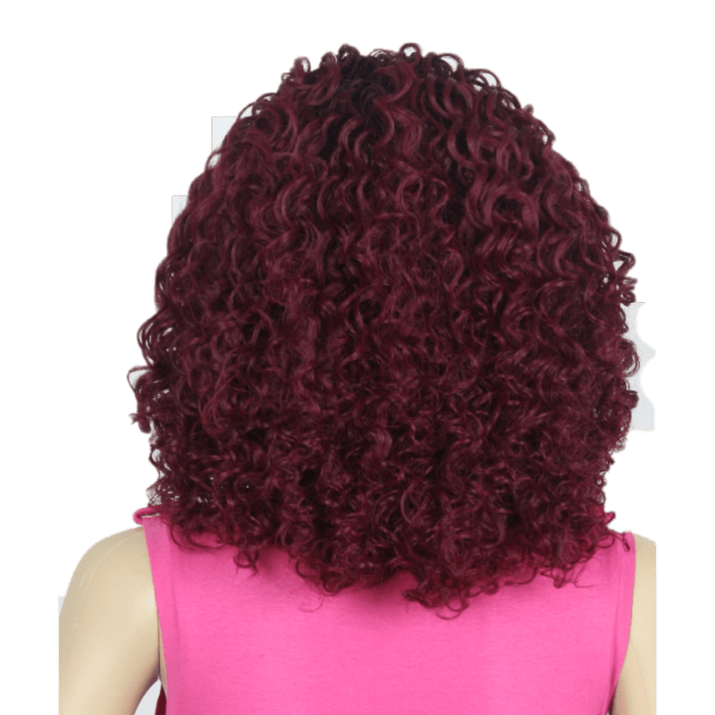 VIP Extensions It's a Wig! Swiss Lace Yeva Synthetic Front Lace Wig