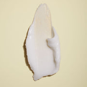 Jackfir The Classic Daily Facial Cleanser