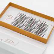 Mega Lash Academy Jewel 5D Spikes Lash Trays