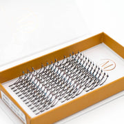 Mega Lash Academy Jewel 5D Spikes Lash Trays