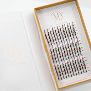 Mega Lash Academy Jewel 5D Spikes Lash Trays