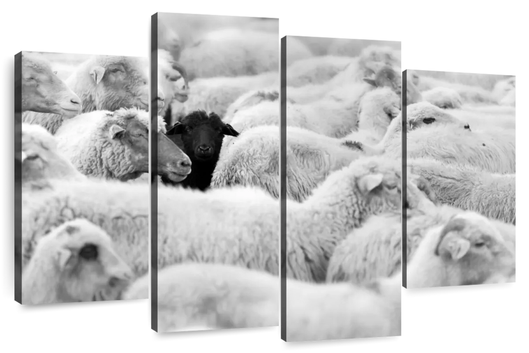 Distinct Black Sheep Wall Art