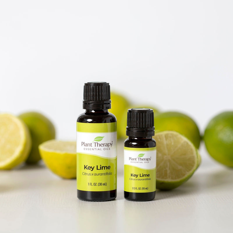 Plant Therapy Key Lime Essential Oil Essential Oil