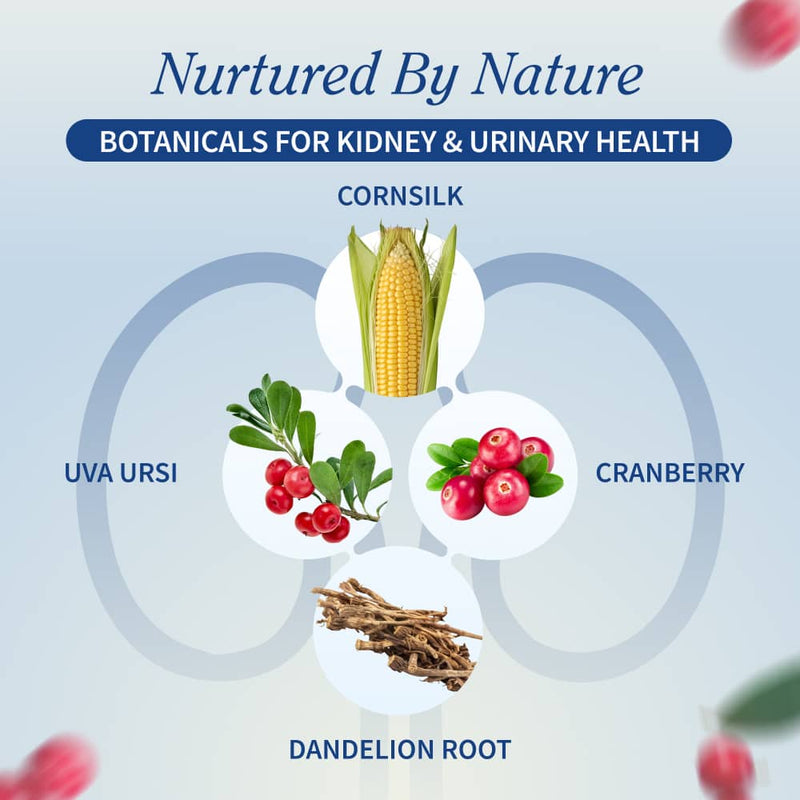 Snap Supplements Kidney Health - Buy 3, Get 2 FREE! hidden
