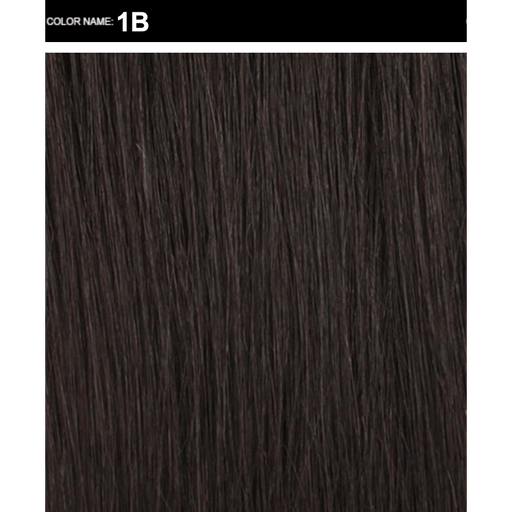 VIP Extensions Lady Wig by Blue Wigs Dark Slate Gray 1B,F1B/Bur,F1B/30,F1B/27,2,4,F4/30,F4/27