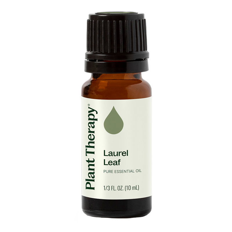 Plant Therapy Laurel Leaf Essential Oil Essential Oil
