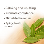 Plant Therapy Laurel Leaf Essential Oil Essential Oil