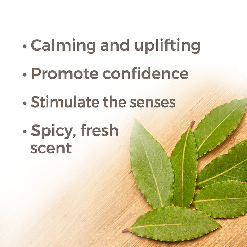 Plant Therapy Laurel Leaf Essential Oil Essential Oil