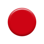 laurenbbeauty Rodeo Drive