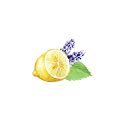 Rustic Strength Lavender, Lemon & Mint Essential Oil Blend Scenting Oil