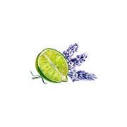 Rustic Strength Lavender & Lime Essential Oil Blend Scent