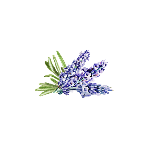 Rustic Strength Lavender & Rosemary Essential Oil Blend Scent