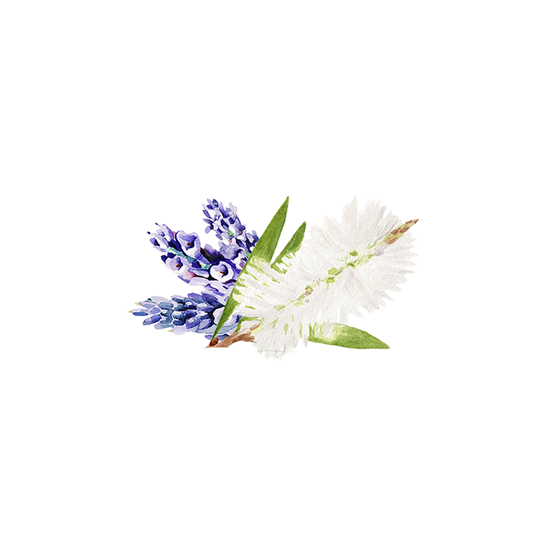 Rustic Strength Lavender & Tea Tree Essential Oil Blend Scenting Oil