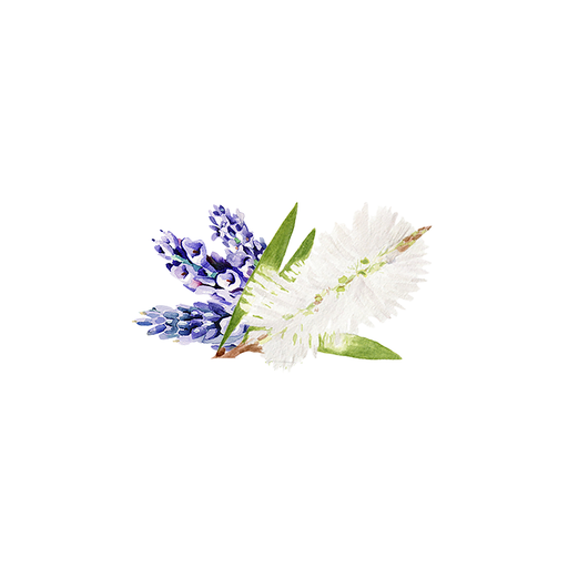 Rustic Strength Lavender & Tea Tree Essential Oil Blend Scenting Oil