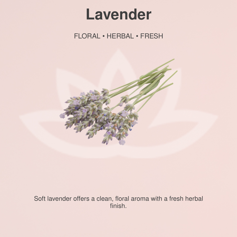 Glimmer Goddess® Organic Skin Care Organic Whipped Body Butter for Extremely Dry Skin 8 oz. Lotions & Moisturizers Misty Rose Lavender