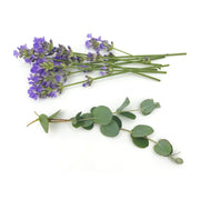 Rooted Earth Farm + Apothecary Acne Relief Face Scrub Acne Relief