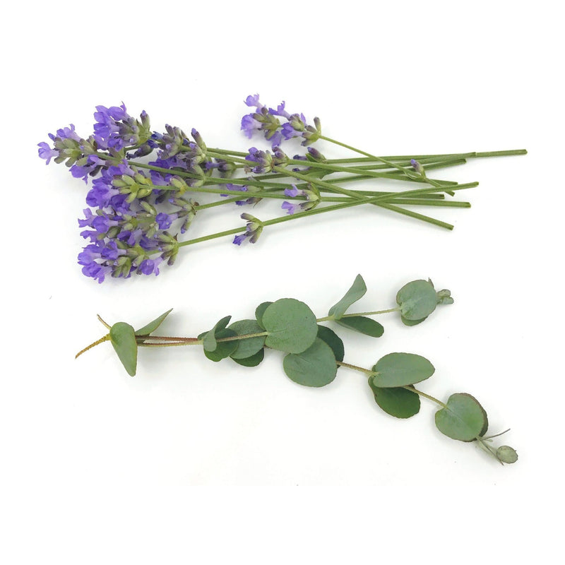 Rooted Earth Farm + Apothecary Acne Relief Face Scrub Acne Relief