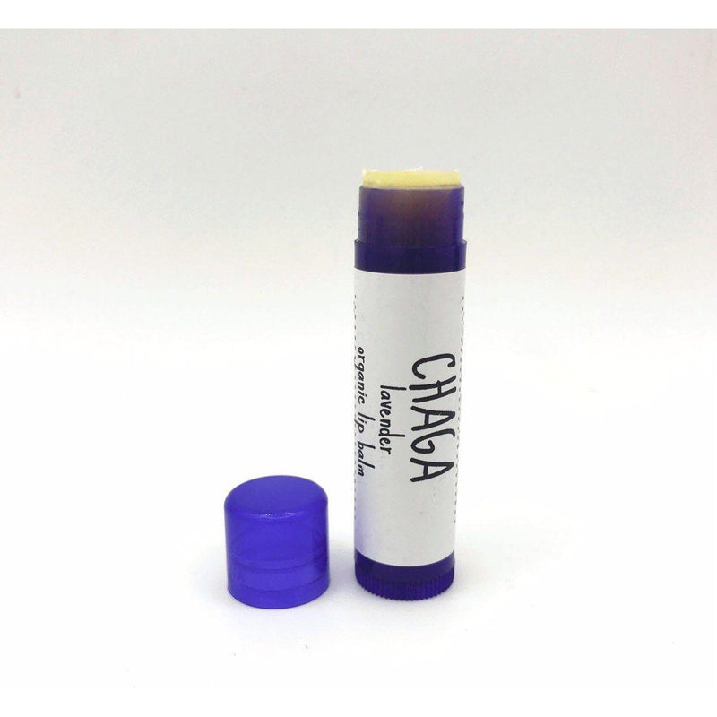 Rooted Earth Farm + Apothecary Chaga Lip Balm Lip Balms + Tints