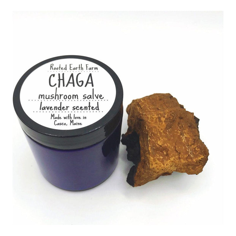 Rooted Earth Farm + Apothecary Chaga Salve Herbal Salves + Balms