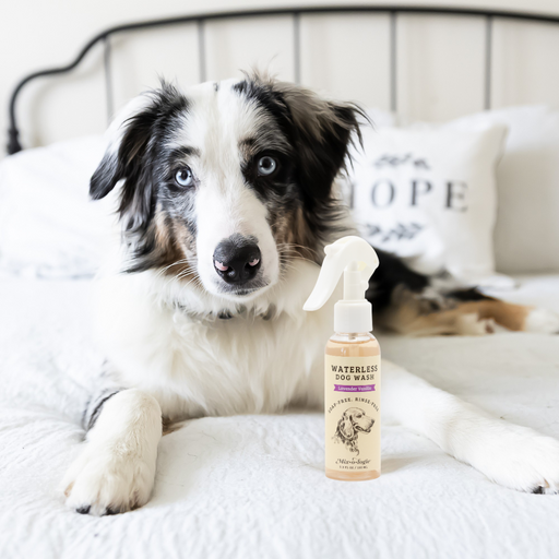 MIXOLOGIE Lavender Vanilla | Waterless Dog Wash Pet Products