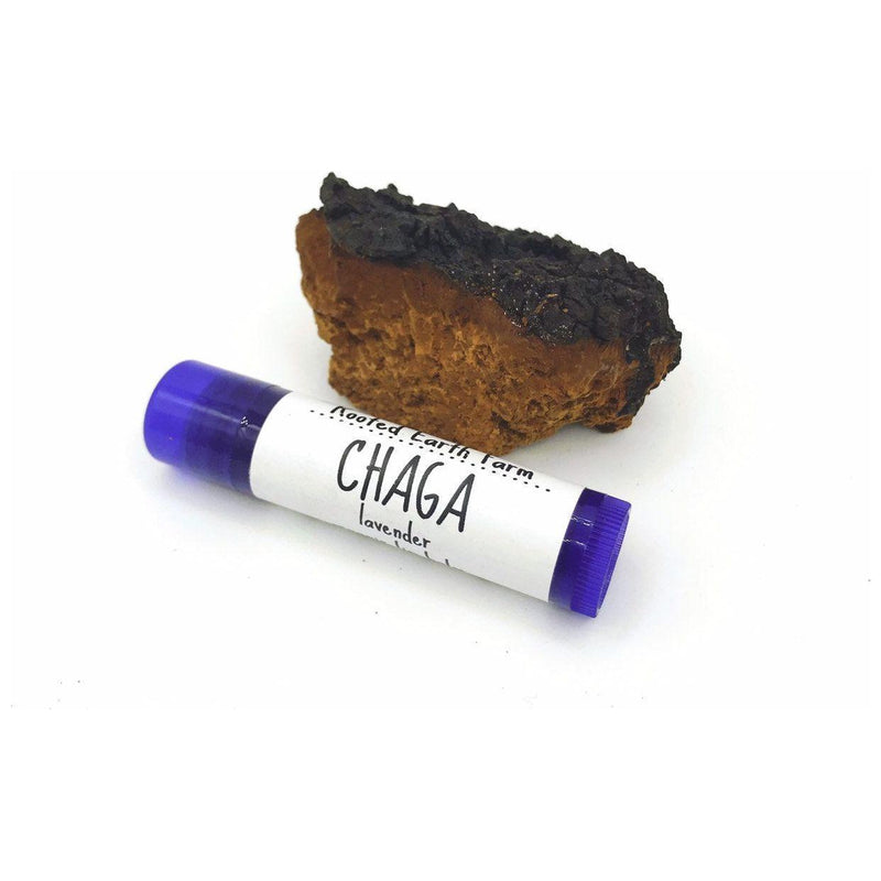 Rooted Earth Farm + Apothecary Chaga Lip Balm Lip Balms + Tints