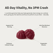 Snap Supplements L-Carnitine Sugar-Free Blueberry Gummies