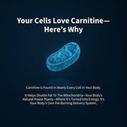 Snap Supplements L-Carnitine Sugar-Free Blueberry Gummies