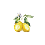 Rustic Strength Lemon Essential Oil Scent