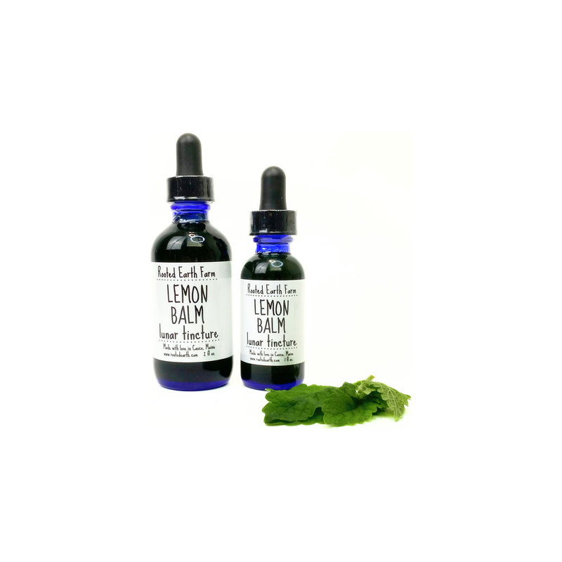 Rooted Earth Farm + Apothecary Lemon Balm Tincture Tinctures + Capsules
