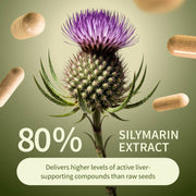 Snap Supplements Liver Health & Detox - 6 Month Supply hidden