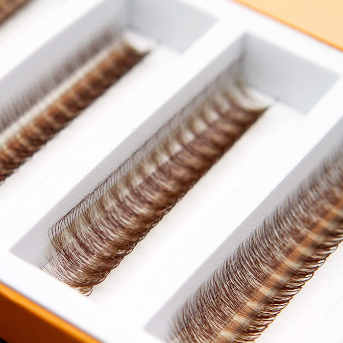 Mega Lash Academy -  Light Brown 5D Rapid Promade Fans