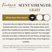 Fontana Candle Co Pure Vanilla Jar Candle Candles Seashell Jar Candle