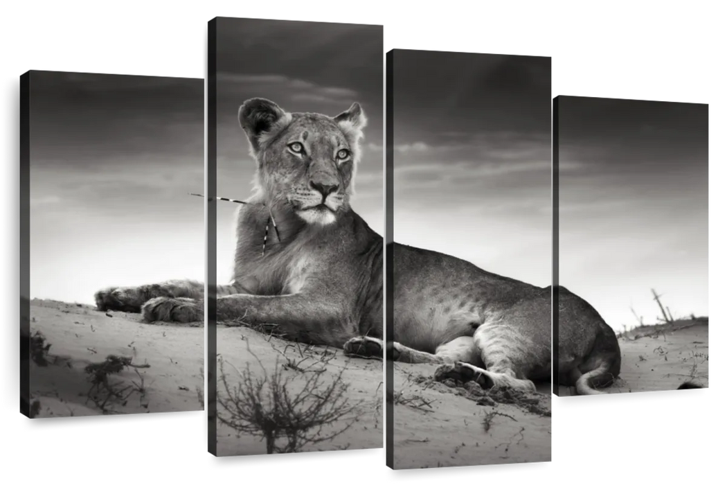 Lioness Wall Art