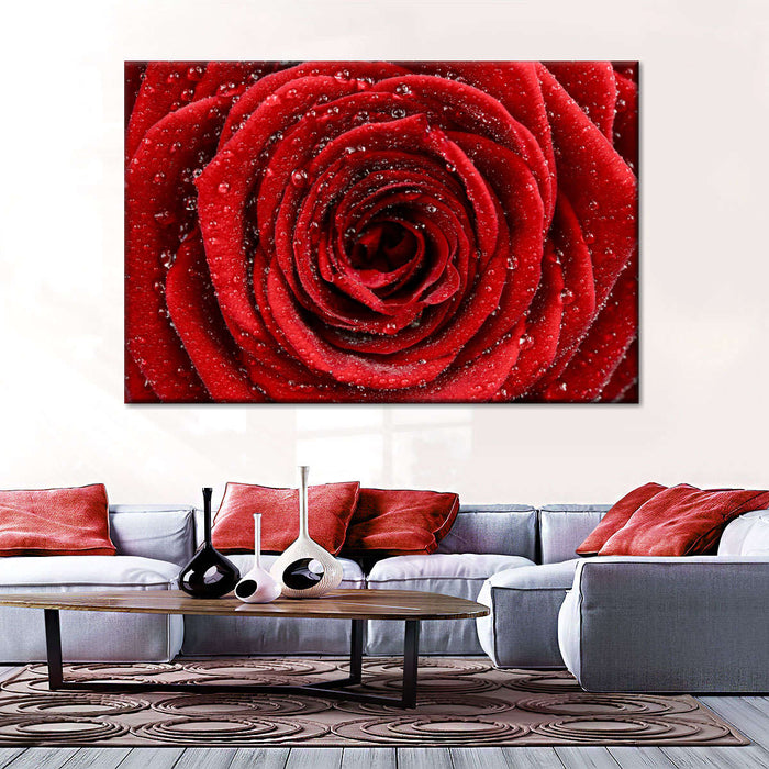 Damp Red Rose Wall Art