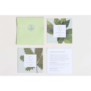 Lizush Natural Handmade Beard Oil, Beard Softener, Beard Moisture, Beard care CREAMS & OILS