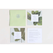 Lizush Natural Eucalyptus Bath Salts BATH BOMBS & SALTS