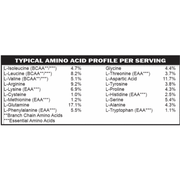 casa de sante Vegan Protein Vanilla MD PhD Formulated Gut Friendly Low FODMAP Digestive Support Supplements