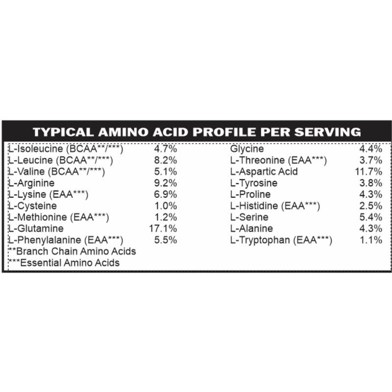 casa de sante Vegan Protein Vanilla MD PhD Formulated Gut Friendly Low FODMAP Digestive Support Supplements